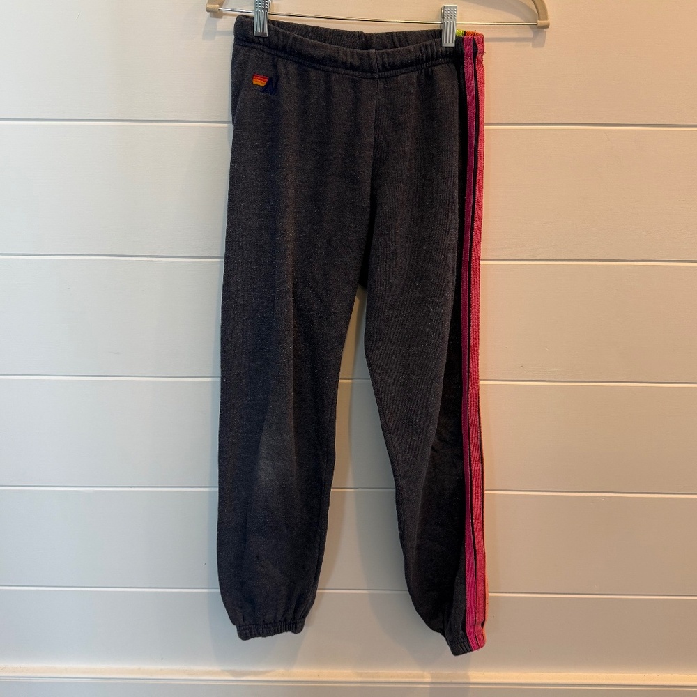 Aviator Nation Navy Neon Stripe Sweats